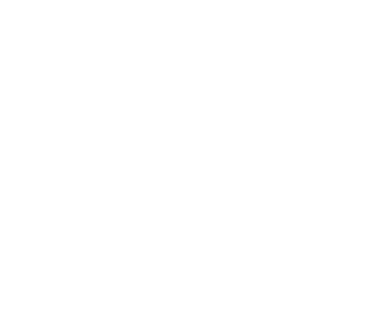 Palmetto's Finest Landscapes